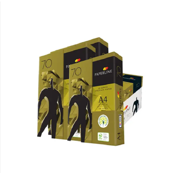Reliable Paperline A4 Paper Bulk Stock Designed For Smooth Printing Clear Documents And Everyday Office Tasks - TRADECENTRIC LLC - United States