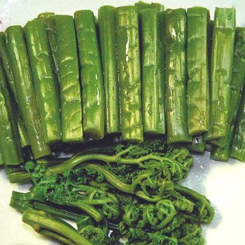 Salted Wakame - Dalian Lingfa Food Co., Ltd. - China