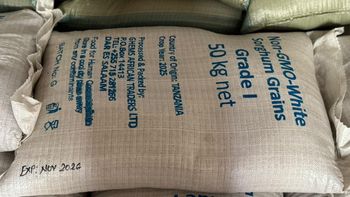 Non-Gmo white maize and Sorghum grain - Ghems African Traders Ltd - Tanzania