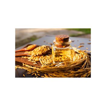 Cheap Price Rice Bran Oil Bulk Supply from CHHC AGR0-CHEMICAL PRODUCTS WHOLESALING Cheap Price Rice Bran Oil Bulk Supply - CHHC AGR0-CHEMICAL PRODUCTS WHOLESALING - Philippines