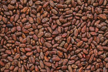 Fermented and Dried Cacao Beans from JAK11 Group Fermented and Dried Cacao Beans - JAK11 Group - Congo, The Democratic Republic of the