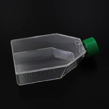 Plug 75cm2 Sterile Working Volume 25ml Cell Culture Flasks - Ningbo Yingmed Medical Instruments Co., Ltd. - China