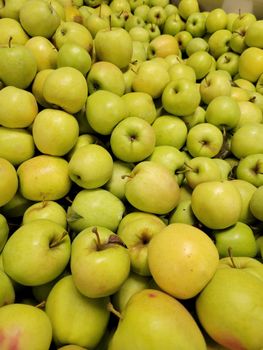 Quality Fresh Golden Delicious Apples for sale - NINE FRUITS EXPORTS (PTY) LTD - South Africa