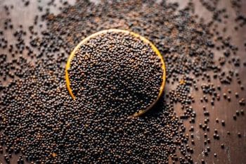 Top Quality Mustard Seeds for sale from Agroral import export srl Top Quality Mustard Seeds for sale - Agroral import export srl - Romania