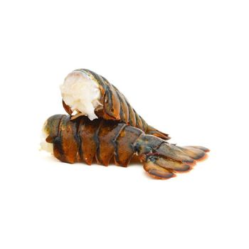 High quality frozen lobster tails prepared for volume trade distribution - MASI TRADING GMBH - Germany