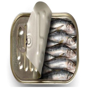 Canned Sardines in vegetable oil. - TREVEX INTER CO.,LTD - Thailand