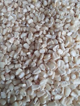 White Maize - Creative Center company - United Arab Emirates