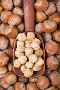 Factory Bulk Roasted Chopped Hazelnuts / Hazelnut Crumbs OEM for Baking & Confectionery - PLANETE COMMERCE - France