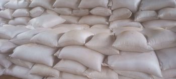 Cocoa powder, cocoa beans cocoa shells and cocoa butter - Agree Business Ltd  - Cameroon