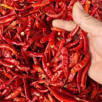 Factory Direct Sales Teja Red Chilli Pepper Powder Dried Style Sweet Red Chilli Pepper Seed Originated From China - AL JABLI TRADING COMPANY LIMITED - Tanzania