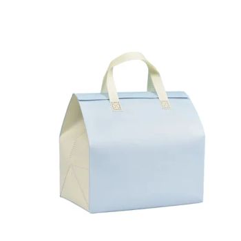 Custom Reusable Hot Cold Thermal Insulted Bag Recyclable Fast Grocery Fresh Nonwoven Cooler Bag Food Delivery - Quanzhou Golden Nonwoven Co., Ltd. - China