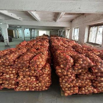Premium Fresh Potatoes For Food Service And Retail Supply With Consistent Quality Firm Texture And Excellent from EAST LAND PROPERTIES Premium Fresh Potatoes For Food Service And Retail Supply With Consistent Quality Firm Texture And Excellent – product photo, Fresh Potato products found from trusted suppliers, wholesalers, manufacturers & exporters Listing