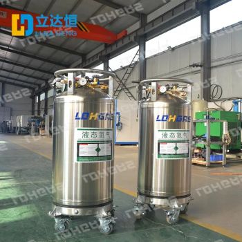 Dewar Cylinder for Liquid Nitrogen Liquid Oxygen Lco2 LNG - LDH GAS SYSTEMS COMPANY LIMITED - China