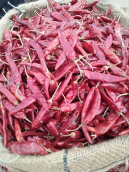 Factory Supply Raw Dried Red Chili -  JAC SEEDS & OIL TRADING (PTY) LTD - South Africa