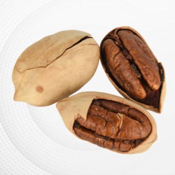Hot Sales Nutritious High Quality Pecan - Hangzhou Suncamry Agricultural Development Co., Ltd. - China