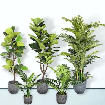 Artificial Real Touch Potted Plants Sets - Shenzhen Shangpin Flower Art Design Co., Ltd. - China