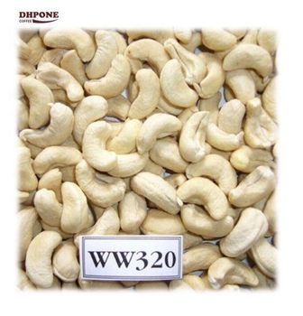 High Quality Cashew Nuts WW240 WW320 WW450 Cashew Nuts Cashew Nut Raw Dried Organic Vietnam - HOT SELLER - DAI HUNG PHAT EXCHANGE TRANSPORT AND TRADING JOINT STOCK COMPANY - Vietnam