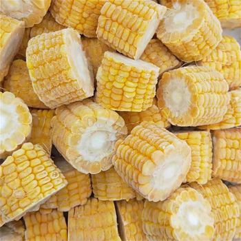 IQF Frozen Sweet Corn Cob Cuts from THAISCOM EXIM PRODUCTION AND IMPORT EXPORT COMPANY LIMITED IQF Frozen Sweet Corn Cob Cuts - THAISCOM EXIM PRODUCTION AND IMPORT EXPORT COMPANY LIMITED - Vietnam