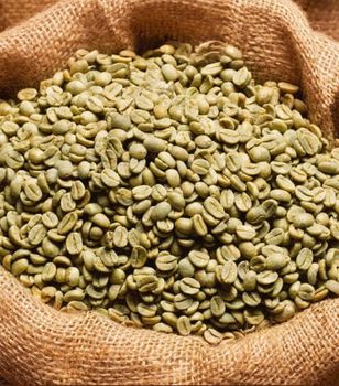Affordable Green Coffee Beans for Businesses Seeking Quality Raw Coffee Materials at Competitive Market Prices - EAST LAND PROPERTIES - Tanzania