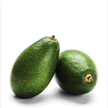 Fresh Avocado Container Load for Export Best Price High Quality Standard Food Service Fresh Fruits Avocado - TRADECENTRIC LLC - United States