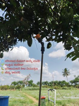 Bottle gourd ,snake gourd from YVG vegetable Bottle gourd ,snake gourd - YVG vegetable - India