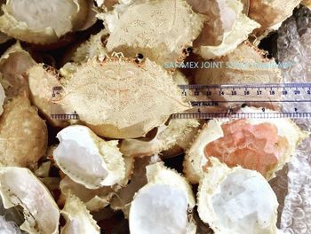 Premium Dried Crab Shell Eco- Friendly for Stuffing & Decoration - Safimex Joint Stock Company - Vietnam