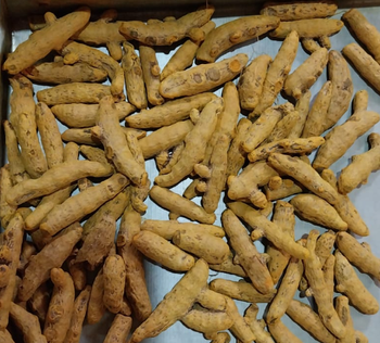 Turmeric, Black Pepper from Radiant Nuts and Spices Pvt.Ltd Turmeric, Black Pepper - Radiant Nuts and Spices Pvt.Ltd - India