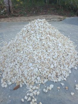 Cassava Chips Ash Content Max 5% Mold Presence No Mold Starch Content Min. 65% Moisture Content Max 14% Crude Fiber Content Max - PT Anugerah Semesta Eksporindo - Indonesia