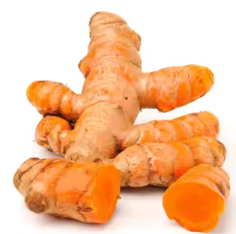 Turmeric Organic Fresh - PT MBEGOR JAYA MANDIRI JEMBER - Indonesia