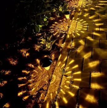 Ground Lawn Lights with Multi-Flower Lighting LED Solar Lights - Shenzhen Ziyi Lighting Co., Ltd - China