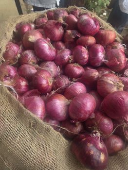 ONION - AGROMET FARMER PRODUCER COMPANY LIMITED - India
