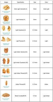 Walnut Kernel - zihang international trading company - China