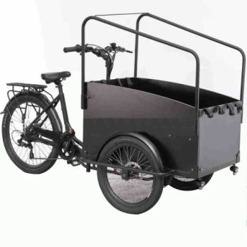 Bestsell Lithium 250W Tricycle 3 Wheel Electric Cargo Bike with Kids Seat - Ningbo Freeman Technology Co., Ltd. - China