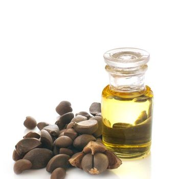 Camellia Carrier Oil With Skin Moisturizing Property Form liquid Type Carrier oil Certification GMP Place of Origin - AROMAAZ INTERNATIONAL PRIVATE LIMITED - India
