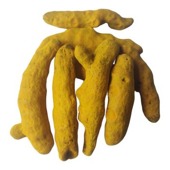 Bulk Natural Turmeric Powder High Quality Turmeric Fresh Roots and Powder Available For Sale Online - AGRO AFRIQUE COMPANY LIMITED - Tanzania
