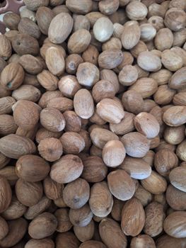 Nutmeg from Saujana Kerta Global Nutmeg - Saujana Kerta Global - Indonesia