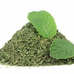 Dried Mint Leaves - Jaishnavi Exports - India