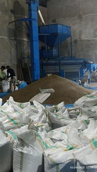Robusta cofffe bean – product photo, Ethiopian Coffee Beans products found from trusted suppliers, wholesalers, manufacturers & exporters Listing
