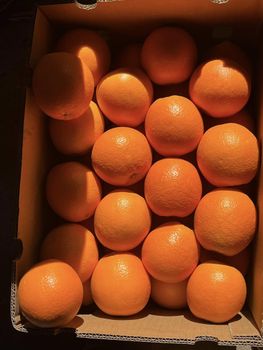 Fresh Navel Seedless  Orange for sale Organic Yes Variety Navel Origin South Africa - NINE FRUITS EXPORTS (PTY) LTD - South Africa