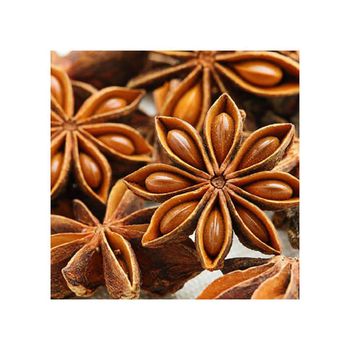 Premium quality star anise bulk supply natural spice export grade wholesale - Mundus Exports Pty Ltd - South Africa