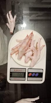 Chicken Paws/Feet - DGT Foods - Pakistan