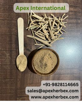 Ashwagandha Extract 2.5 By Hplc , Ashwagandha Extract Hplc , Withania Somnifera 2.5 By Hplc , Withania Somnifera Hplc , Ashwagandha Extract , Ashwagandha , Ashwagandha Extract Supplier From India - APEX INTERNATIONAL - India