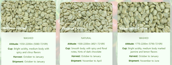 Ethiopian Yirgacheffe Organic Arabica Green Coffee Beans | Washed | Fairtrade | FOB Djibouti - Allthatnet - South Korea