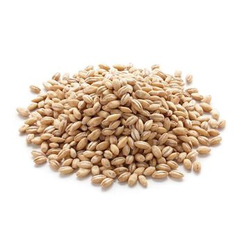 Fresh Barley Grain With 90% Clean Content Premium Barley Grain Packed For Global Bulk Distribution from AGRO AFRIQUE COMPANY LIMITED Fresh Barley Grain With 90% Clean Content Premium Barley Grain Packed For Global Bulk Distribution - AGRO AFRIQUE COMPANY LIMITED - Tanzania