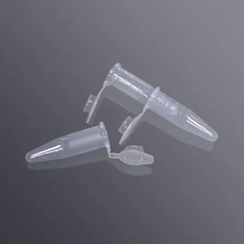 0.5ml Conical Small Centrifuge Tube Test Tubes for Lab Transport Package 20000PCS/CTN Trademark OEM Production Capacity: 100000ctns/Day - FUZHOU BORNI PHARMACEUTICAL SCI.& TECH.CO., LTD. - China