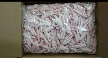 Frozen Chicken Feet from malter group Frozen Chicken Feet - malter group - Tanzania