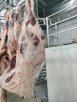 Buffalo Meat - Mark Agro & Foods Pvt Ltd - India