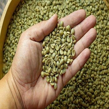 Coffee Factory Raw Materials Raw Green Coffee Beans Robusta in Ma Processing Honey Ready to Export from CPW TRADE LTD Coffee Factory Raw Materials Raw Green Coffee Beans Robusta in Ma Processing Honey Ready to Export - CPW TRADE LTD - United Kingdom