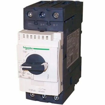 20 A 3 Phase GV3P TeSys Magnetic Circuit Breakers Voltage 220 V Phase 3 Phase Brand Schneider Rated Current 20 A Frequency 50/60 - Kalpana Electricals - India