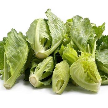 Fresh Vegetable Baby Cabbage from THAI MART INTERTRADE Fresh Vegetable Baby Cabbage - THAI MART INTERTRADE - Thailand